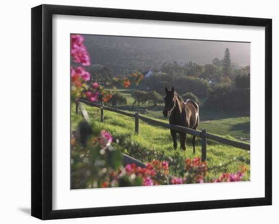 Constantia Winery, Cape Town, South Africa-Stuart Westmoreland-Framed Photographic Print