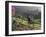 Constantia Winery, Cape Town, South Africa-Stuart Westmoreland-Framed Photographic Print
