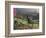 Constantia Winery, Cape Town, South Africa-Stuart Westmoreland-Framed Photographic Print