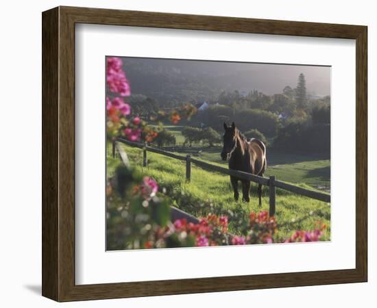 Constantia Winery, Cape Town, South Africa-Stuart Westmoreland-Framed Photographic Print