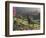 Constantia Winery, Cape Town, South Africa-Stuart Westmoreland-Framed Photographic Print