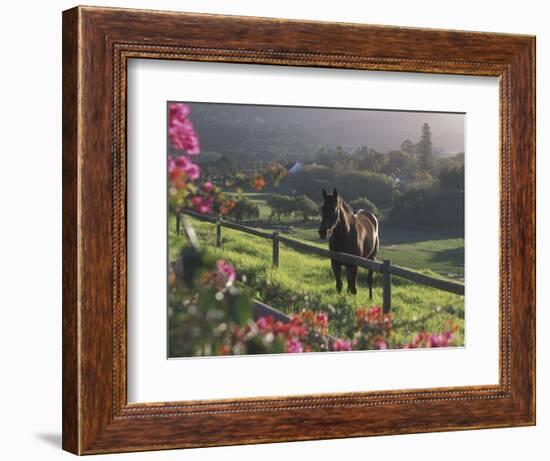 Constantia Winery, Cape Town, South Africa-Stuart Westmoreland-Framed Photographic Print