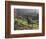 Constantia Winery, Cape Town, South Africa-Stuart Westmoreland-Framed Photographic Print