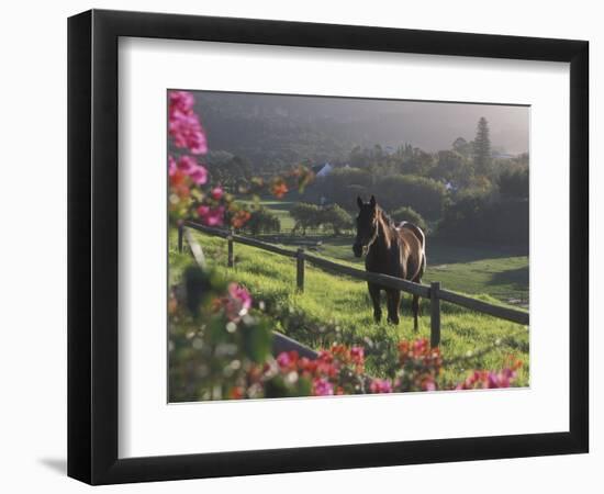 Constantia Winery, Cape Town, South Africa-Stuart Westmoreland-Framed Photographic Print