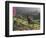 Constantia Winery, Cape Town, South Africa-Stuart Westmoreland-Framed Photographic Print