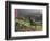 Constantia Winery, Cape Town, South Africa-Stuart Westmoreland-Framed Photographic Print