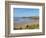 Constantine Bay, Cornwall, England, United Kingdom, Europe-Jeremy Lightfoot-Framed Photographic Print