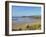 Constantine Bay, Cornwall, England, United Kingdom, Europe-Jeremy Lightfoot-Framed Photographic Print