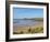 Constantine Bay, Cornwall, England, United Kingdom, Europe-Jeremy Lightfoot-Framed Photographic Print