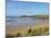 Constantine Bay, Cornwall, England, United Kingdom, Europe-Jeremy Lightfoot-Mounted Photographic Print