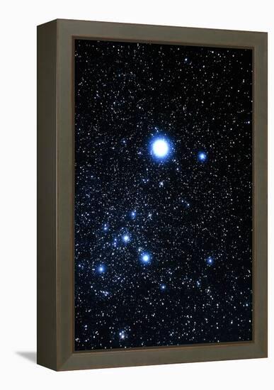 Constellation Canis Major with Halo Effect-John Sanford-Framed Premier Image Canvas