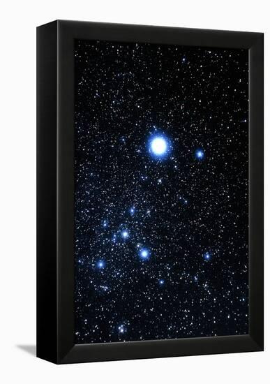 Constellation Canis Major with Halo Effect-John Sanford-Framed Premier Image Canvas