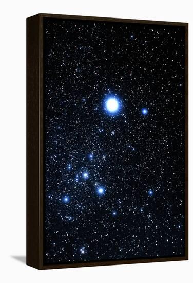 Constellation Canis Major with Halo Effect-John Sanford-Framed Premier Image Canvas