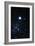 Constellation Canis Major with Halo Effect-John Sanford-Framed Photographic Print