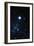 Constellation Canis Major with Halo Effect-John Sanford-Framed Photographic Print