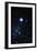 Constellation Canis Major with Halo Effect-John Sanford-Framed Photographic Print