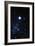 Constellation Canis Major with Halo Effect-John Sanford-Framed Photographic Print