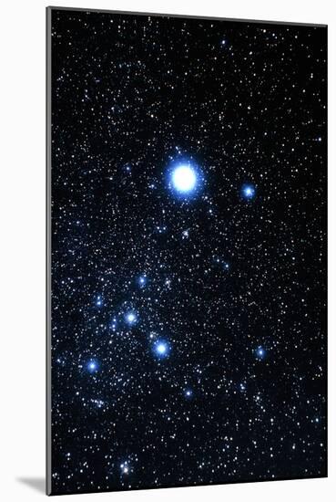 Constellation Canis Major with Halo Effect-John Sanford-Mounted Photographic Print
