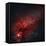 Constellation Cygnus with Multiple Nebulae Visible-Stocktrek Images-Framed Premier Image Canvas