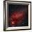 Constellation Cygnus with Multiple Nebulae Visible-Stocktrek Images-Framed Photographic Print