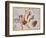 Constellation of Bootes-James Thornhill-Framed Giclee Print