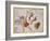 Constellation of Bootes-James Thornhill-Framed Giclee Print