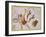 Constellation of Bootes-James Thornhill-Framed Giclee Print