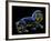 Constellation of Leo, Artwork-Chris Butler-Framed Photographic Print