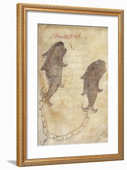 Constellation Pisces from the Book of Fixed Stars by Azophi-null-Framed Giclee Print