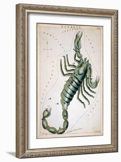 Constellation: Scorpio-Sidney Hall-Framed Giclee Print