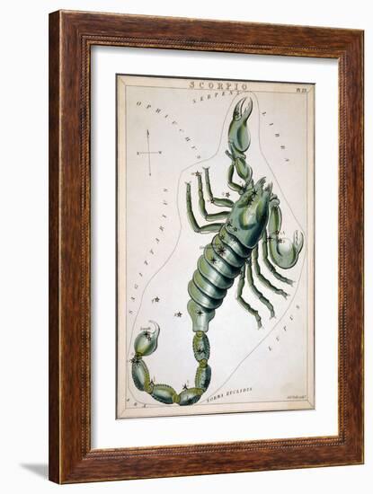 Constellation: Scorpio-Sidney Hall-Framed Giclee Print