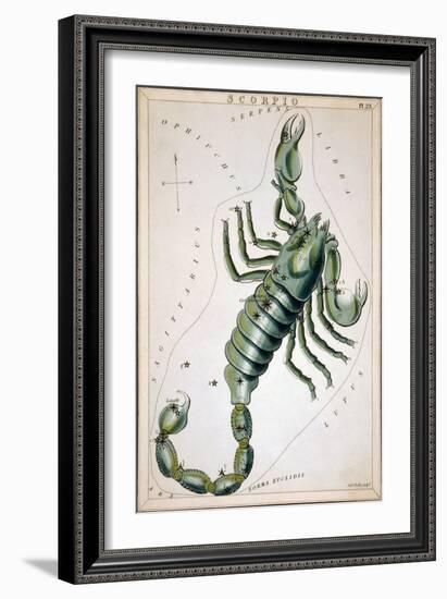 Constellation: Scorpio-Sidney Hall-Framed Giclee Print