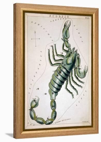 Constellation: Scorpio-Sidney Hall-Framed Premier Image Canvas