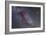 Constellations Cygnus and Lyra with Nearby Deep Sky Objects-null-Framed Photographic Print