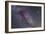 Constellations Cygnus and Lyra with Nearby Deep Sky Objects-null-Framed Photographic Print