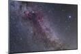 Photographic Print
