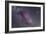 Constellations Cygnus and Lyra with Nearby Deep Sky Objects-null-Framed Photographic Print