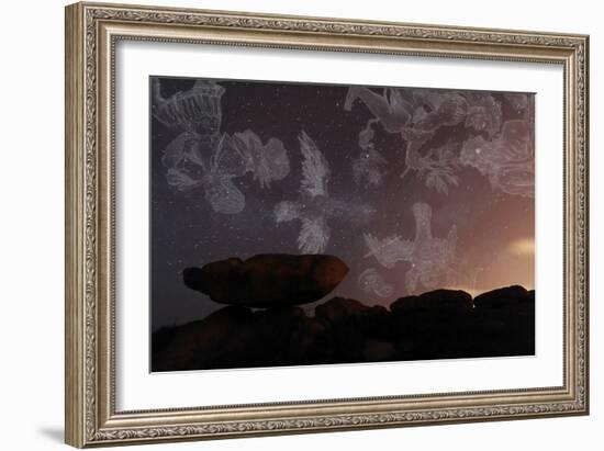 Constellations In a Night Sky-Laurent Laveder-Framed Photographic Print