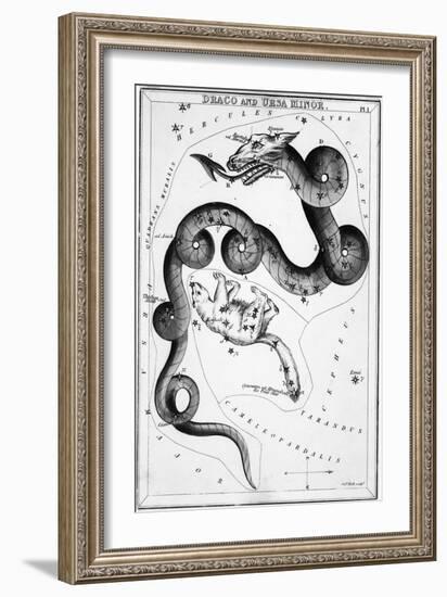 Constellations;Little Bear;Dragon;Engr.-null-Framed Giclee Print