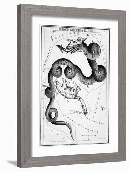 Constellations;Little Bear;Dragon;Engr.-null-Framed Giclee Print