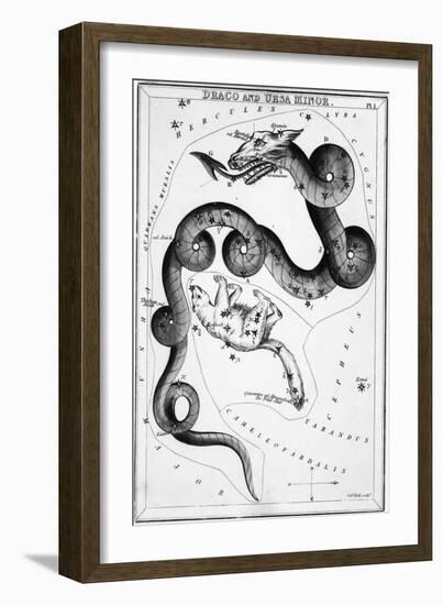 Constellations;Little Bear;Dragon;Engr.-null-Framed Giclee Print