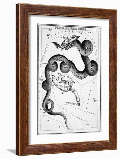 Constellations;Little Bear;Dragon;Engr.-null-Framed Giclee Print