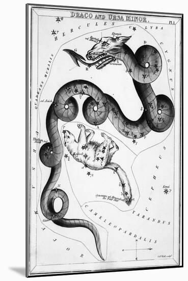 Constellations;Little Bear;Dragon;Engr.-null-Mounted Giclee Print