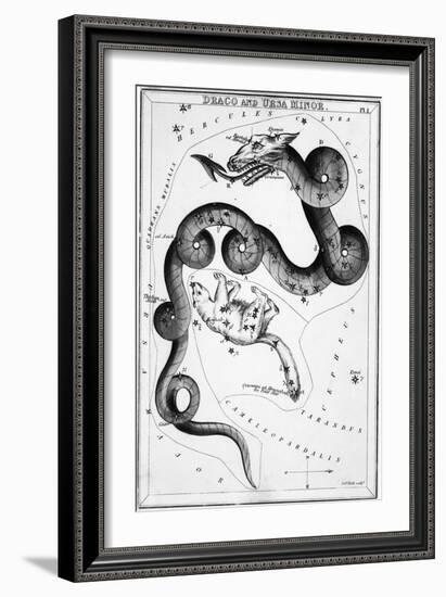 Constellations;Little Bear;Dragon;Engr.-null-Framed Giclee Print