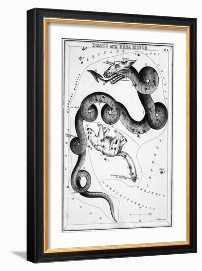 Constellations;Little Bear;Dragon;Engr.-null-Framed Giclee Print