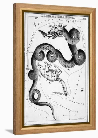 Constellations;Little Bear;Dragon;Engr.-null-Framed Premier Image Canvas