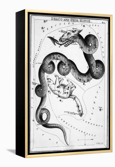 Constellations;Little Bear;Dragon;Engr.-null-Framed Premier Image Canvas