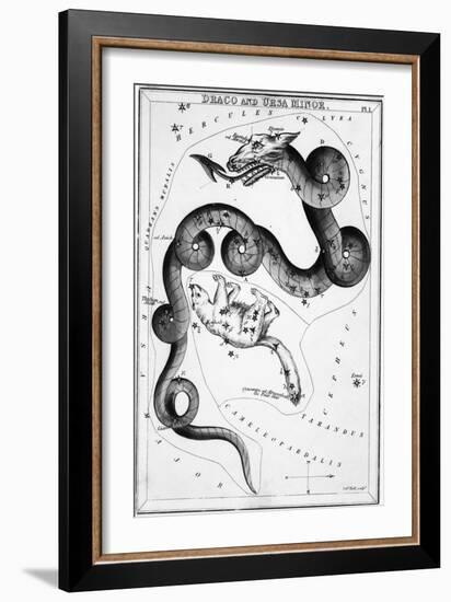 Constellations;Little Bear;Dragon;Engr.-null-Framed Premium Giclee Print