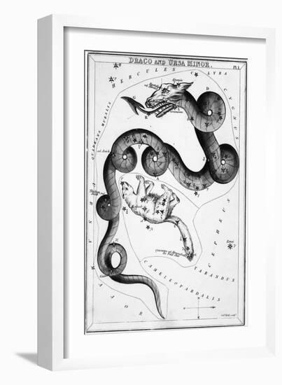 Constellations;Little Bear;Dragon;Engr.-null-Framed Premium Giclee Print