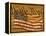 Constitution and U.S. Flag-Joseph Sohm-Framed Premier Image Canvas